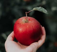 Health: ਸਵੇਰੇ ਖਾਲੀ ਪੇਟ ਕਰੋ ਸੇਬ ਦਾ ਸੇਵਨ, ਸਿਹਤ ਨੂੰ ਮਿਲਣਗੇ ਸ਼ਾਨਦਾਰ ਫਾਇਦੇ