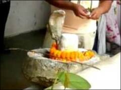 Raigarh: नोटिस मिलने के बाद कोर्ट पहुंचे भगवान शिव, लेकिन इस वजह से नहीं हो पाई सुनवाई