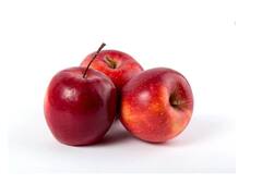 मधुमेहाचे रुग्ण आहात? तर तुम्ही या 5 फळांचे सेवन नक्की करू शकता; जाणून घेऊया..