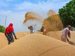 Madhya Pradesh में MSP पर गेंहू खरीद आज से शुरू, बेचने के लिए किसान खुद तय करेंगे दिन और समय