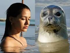 દિશા પટનીએ શેર કરી પોતાના એવા ફોટો કે ટાઈગર શ્રોફ હસવાનું ના રોકી શક્યો, જુઓ ફોટો