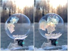 ਕੁਝ ਹੀ ਸਕਿੰਟਾਂ 'ਚ ਬਰਫ਼ 'ਚ ਬਦਲਿਆ ਪਾਣੀ ਦਾ ਬੁਲਬੁਲਾ, ਵਾਇਰਲ ਵੀਡੀਓ ਨੇ ਲੋਕਾਂ ਨੂੰ ਕੀਤਾ ਹੈਰਾਨ