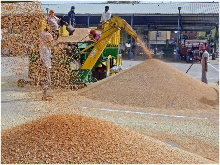 Punjab:  Russia-Ukraine war impact on wheat procurement in Punjab, price remains above MSP Punjab: पंजाब में गेहूं की खरीद पर रूस-यूक्रेन युद्ध का असर, MSP से ऊपर बना हुआ है भाव