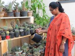 'சப்பாத்திக்கள்ளியிலும் சம்பாதிக்க முடியும்' : உழைப்பவர்களுக்கு வழிகாட்டும் கோவை ஆசிரியை