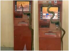 एटीएम मशीन पर सांप ने बनाया अपना डेरा, दहशत में आए लोग