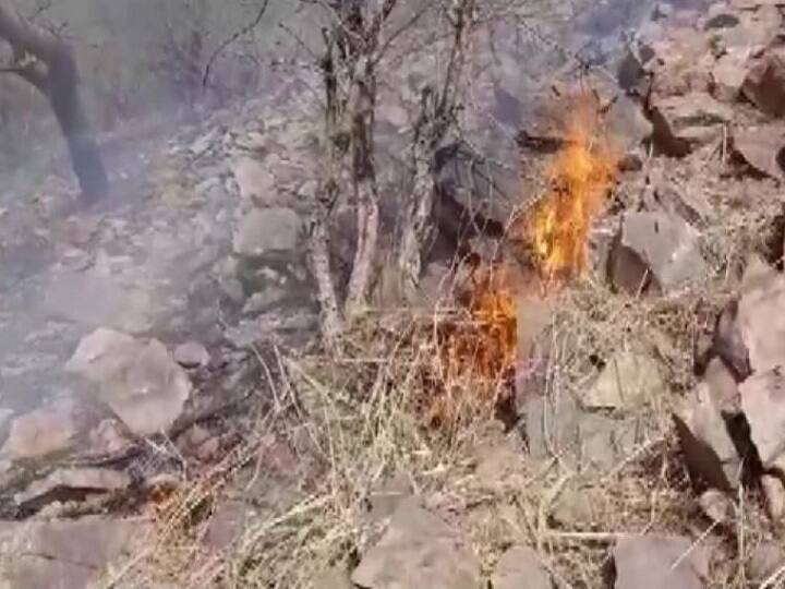 Sariska Tiger Reserve Fire In Rajasthan's Alwar District, Air Force Choppers Fight Blaze, know details Massive Fire Breaks Out In Rajasthan's Sariska Tiger Reserve, IAF Choppers Deployed To Douse Blaze