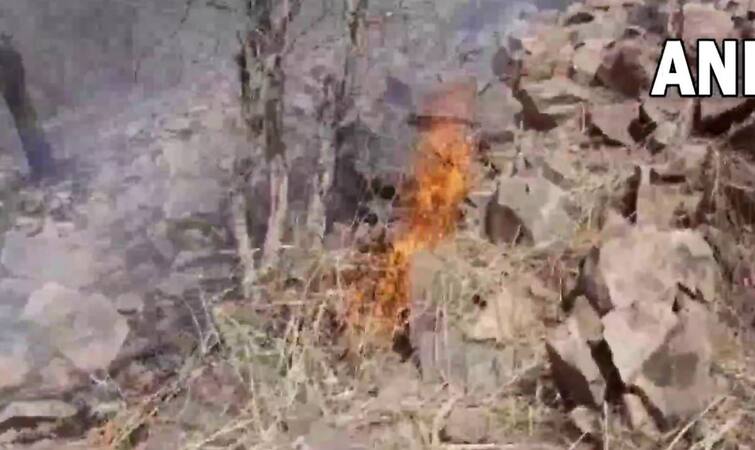 Massive Fire In Rajasthan's Sariska Tiger Reserve, Air Force Choppers Fight Blaze, know details Sariska Tiger Reserve Fire: રાજસ્થાનના સરિસ્કાના જંગલમાં ભીષણ આગ, વાઘ સહિતના વન્ય જીવો પર ખતરો
