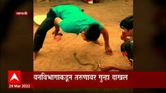 Snake Catcher Arrested : नागासोबत केला स्टंट, सांगली वन विभागाने घेतलं ताब्यात