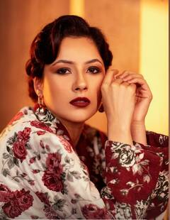 शहनाज़ गिल की लेटेस्ट फोटोज़ को देख फैंस ने भरी आहें, बोले-'हमारी शेरनी वापस आ गई'