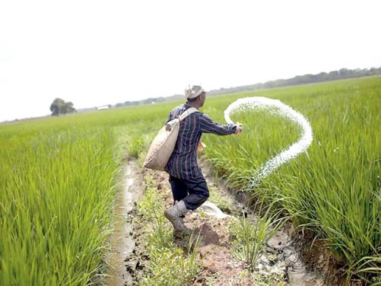 Fertilizer subsidy is 3700 rupees for Indian farmer’s government said in parliament યુરિયા પર પ્રતિ બોરી 3700 રૂપિયાની સબસિડી મળે છે, ઘણા દેશો કરતા ભારતમાં યુરિયા સસ્તું છે - કેન્દ્ર સરકારે સંસદમાં આપી જાણકારી