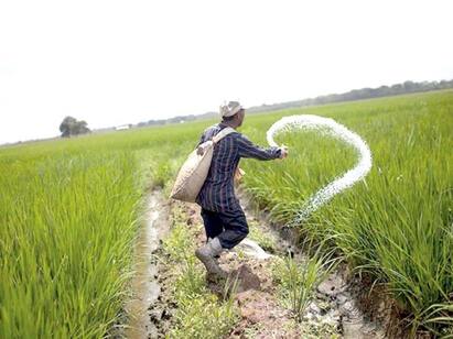 Fertilizer prices have gone up, find out how much prices have gone up in DAP and NPK ખેડૂતોને મોંઘવારીનો ડામ: ખાતરના ભાવમાં થયો વધારો, જાણો DAP અને NPKમાં કેટલો ભાવ વધ્યો