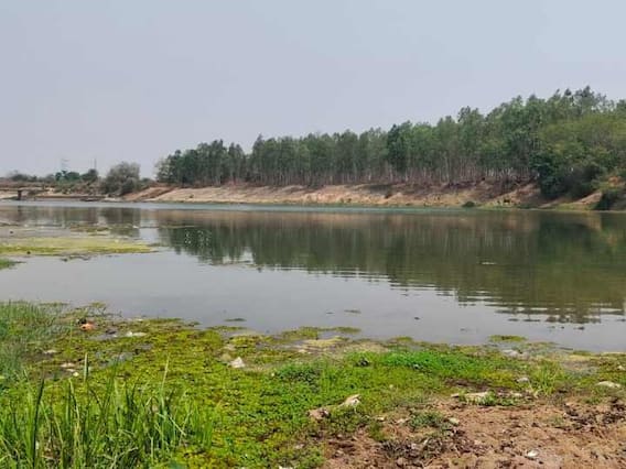 Bastar: बस्तर की इंद्रावती नदी पर जल संकट का खतरा, कुछ ही दिनों के लिए बच गया है पीने का पानी Bastar: बस्तर की इंद्रावती नदी पर जल संकट का खतरा, कुछ ही दिनों के लिए बच गया है पीने का पानी