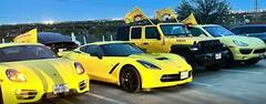 NewJersey TDP Car Rally:అమెరికాలో టీడీపీ 40వ ఆవిర్భావ దినోత్సవ వేడుకలు| ABP Desam