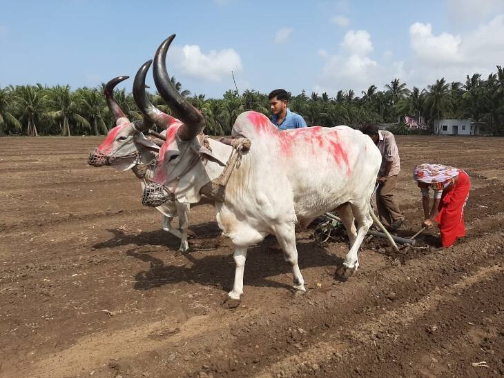 Gujarat Farmers Scheme: more then 14 lakh farmers apply for drum and tub benefit scheme in Gujarat Gujarat Farmers Scheme: ગુજરાતમાં 14 લાખથી વધુ ખેડૂતોએ આ સહાય મેળવવા કરી છે અરજી, જાણો કયા જિલ્લામાંથી મળી સૌથી વધુ અરજી