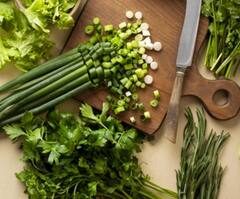 Migraine pain:માઇગ્રેનના દર્દી માટે ખૂબ જ ફાયદાકારક છે આ 5 સુપર ફૂડ