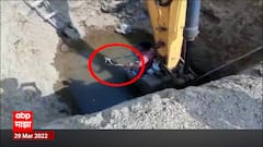 Snake Life २० फूट खोल खड्ड्यात पडलेल्या नागाला सर्पमित्राने दिलं जीवनदान ABP Majha