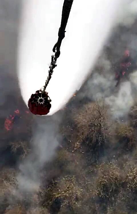 राजस्थानमधील अलवर येथे सरिस्काच्या जंगलात (Alwar Sariska Forest Fire) लागलेल्या भीषण आगीमुळे सामान्य जनजीवन विस्कळीत झाले आहे.