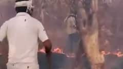 Sariska Fire: सरिस्का को किसने सुलगाया? | Ghanti Bajao (30 March 2022)