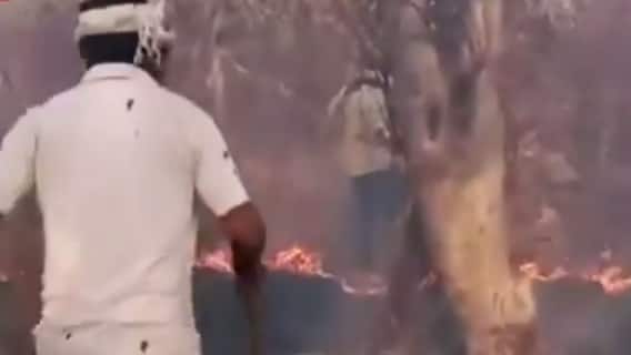 Sariska Fire: सरिस्का को किसने सुलगाया? | Ghanti Bajao (30 March 2022)