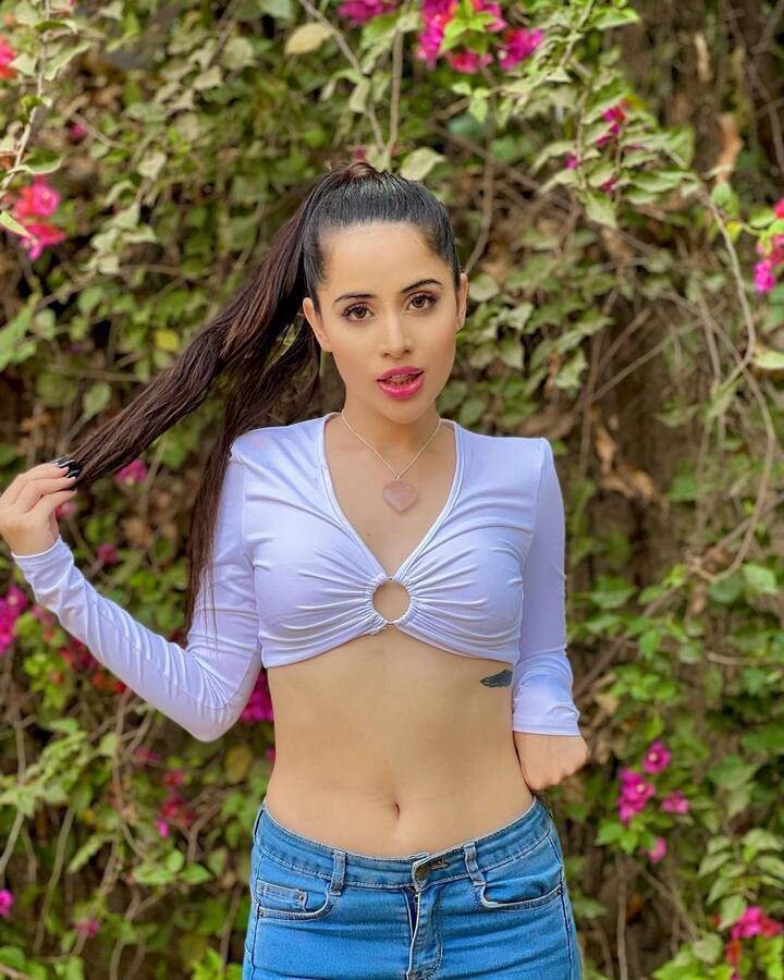 यादरम्यान, उर्फीने तपकिरी रंगाचा टाईट फिट फ्रंट ओपन शॉर्ट ड्रेस परिधान केला आहे,  पहिल्यांदाच असे झाले असेल की लोकांचे लक्ष तिच्या ड्रेसकडे नाही तर तिच्या रागाकडे गेले.(photo: urf7i/ig)