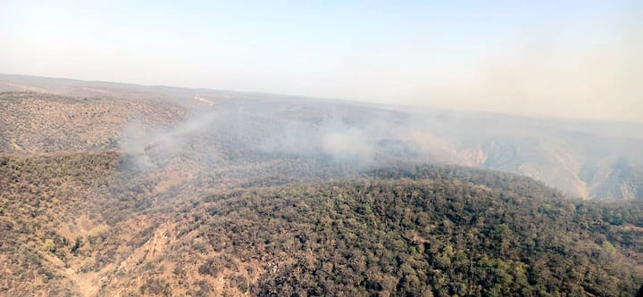 मार्च महिना सुरू होताच अलवरचे तापमान 39 अंशांवर पोहोचले होते, मात्र जंगलाला लागलेल्या आगीनंतर सरिस्का येथील डोंगराळ भागामुळे तापमान 50 अंशांवर पोहोचले आहे.