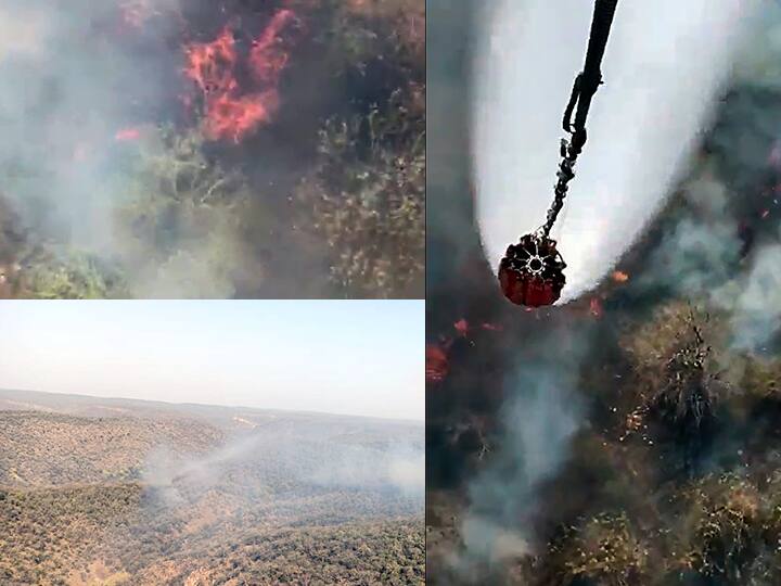 Rajasthan Sariska Forest massive fire break due to raise in temperature Rajasthan Sariska Forest : अलवरच्या सरिस्का जंगलात आगीचा कहर; 20 तासांपासून आग धगधगतीच!