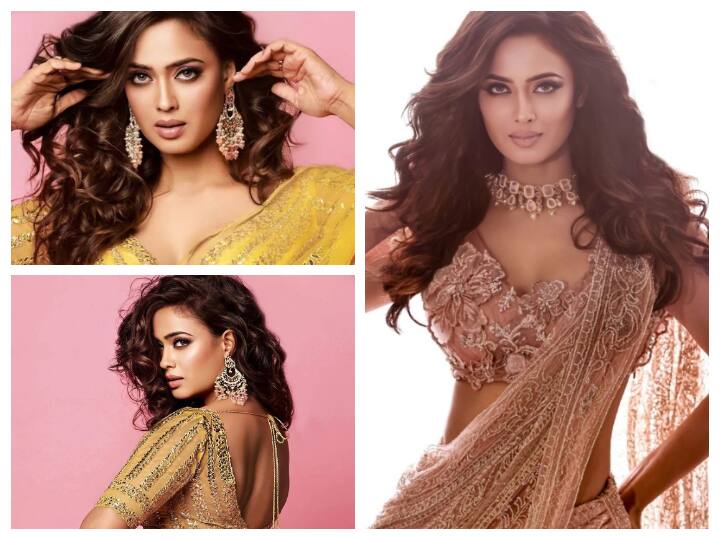 टीवी की पॉपुलर एक्ट्रेस श्वेता तिवारी खूबसूरती के मामले में न्यू कमर्स को भी टक्कर देती हुई नजर आती हैं. 41 साल की उम्र में भी श्वेता की खूबसूरती दिन पर दिन बढ़ती ही जा रही है.