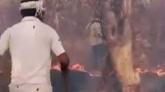 सरिस्का के जंगल में 4 दिन से आग, आग लगने की वजह की पड़ताल | Ghanti Bajao