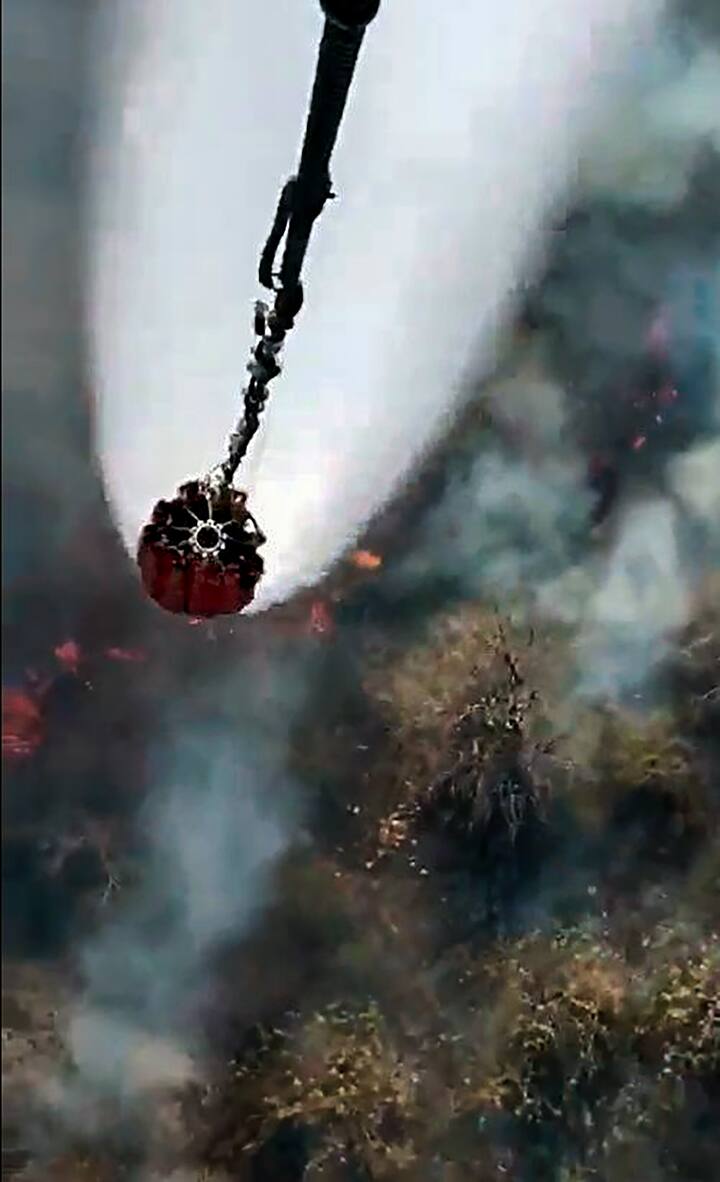 आग लवकरात लवकर आटोक्यात आणण्यासाठी ग्रामस्थही आग विझवण्यासाठी सहकार्य करत आहेत. (PC : ANI)