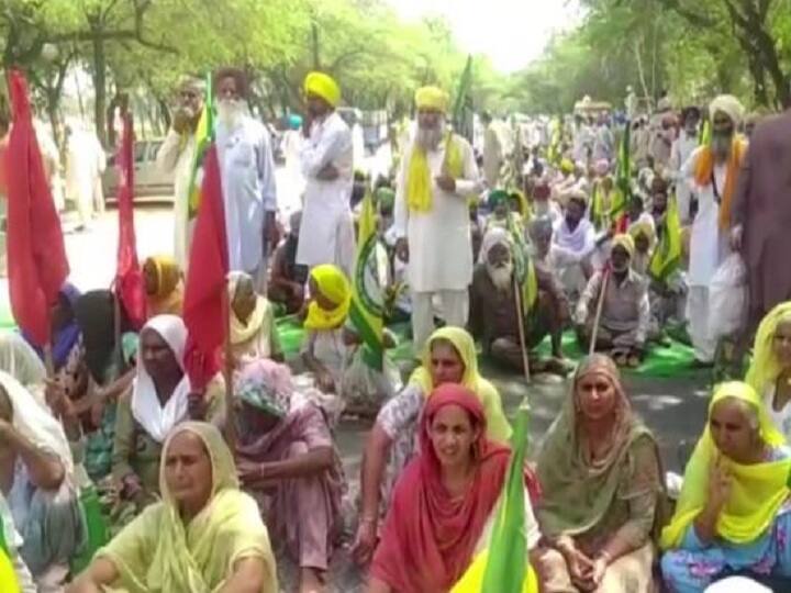 Punjab Farmers Protest: farmers hostaged officer for cotton crop compensation, after police lathicharge farmers on strike in Muktsar Punjab Farmers Protest: कपास की फसल के मुआवजे को लेकर किसानों ने अधिकारियों को बनाया बंधक, पुलिस ने किया लाठीचार्ज तो दिया धरना