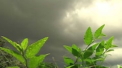 Weather Update: রাজ্যের পাঁচ জেলায় তাপপ্রবাহের সতর্কতা, উত্তরবঙ্গে বৃষ্টির পূর্বাভাস। Bangla News