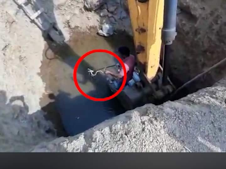 Maharashtra Bhiwandi News serpent friend gave life to cobra which fell into 20 feet deep pit Marathi News तो आला, त्यानं पाहिलं अन्... 20 फूट खोल खड्ड्यात पडलेल्या नागाला सर्पमित्राकडून जीवनदान