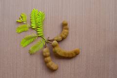 चिंचेच्या ज्यूसनं कमी होईल वजन; जाणून घ्या फायदे