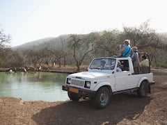 Sariska Fire: Blaze Brought Under Control, Confined To Just A Hillock Now