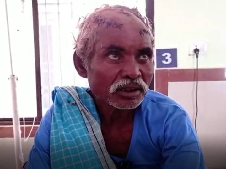 Dhamtari: कुत्तों की वफादारी की मिसाल हैं कालू और छोटू, जंगल में बाघ से लड़कर ऐसे बचाई मालिक की जान Chhattisgarh News Dhamtari two loyal dogs name kalu and chotu saved their owner life by fighting with tiger ANN Dhamtari: कुत्तों की वफादारी की मिसाल हैं कालू और छोटू, जंगल में बाघ से लड़कर ऐसे बचाई मालिक की जान