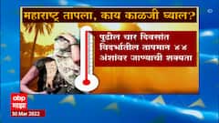 Maharashtra Heat Wave : राज्यात उष्णतेची लाट, जाणून घ्या काय काळजी करावी ABP Majha