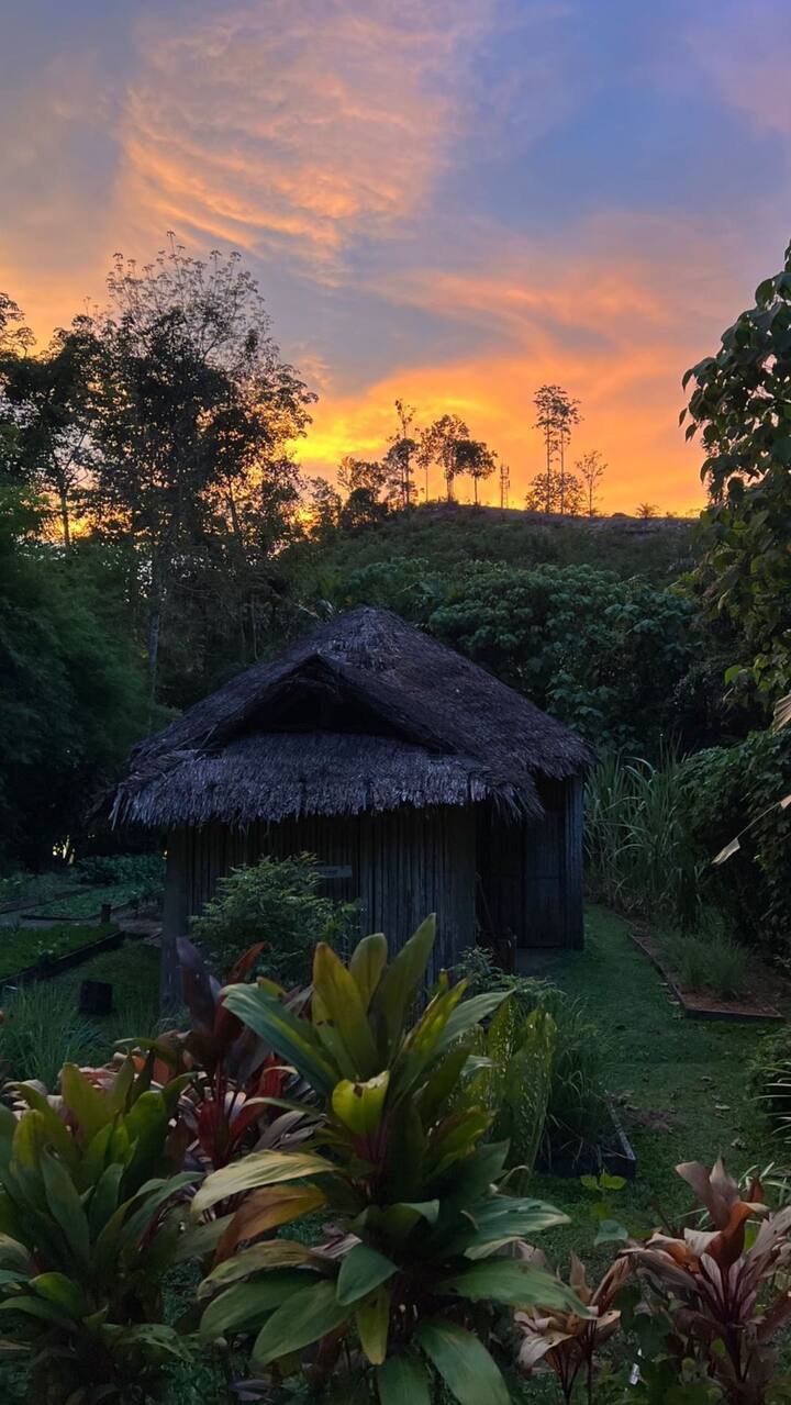 વિક્કી કૌશલે ઇન્સ્ટાગ્રામ પર એક સુંદર સનસેટની તસવીર શેર કરી છે, તસવીરમાં ઝાડવાઓ, છોડવા અને પહાડીઓની વચ્ચે એક ઝૂંપડી દેખાઇ રહી છે. પ્રકૃત્તિના આ સુંદર નજારાને વિક્કી કૌશલે પોતાના કેમેરામાં કેદ કરી લીધી છે, અને સોશ્યલ મીડિયા પર શેર શેર કરી છે.
