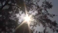 Weather UPDATE: Scorching heatwaves grip Delhi, other states | ABP News