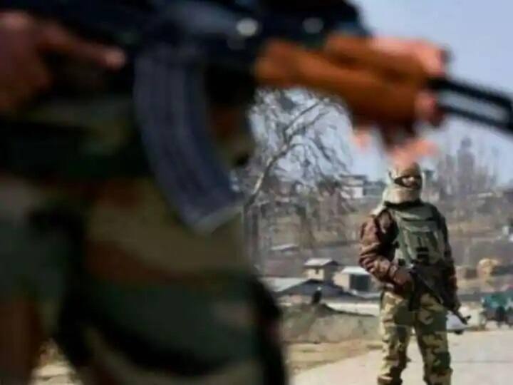 જાણકારી અનુસાર, શરૂઆતમાં યૂક્રેની સૈનિક આને ઓળખી ના શક્યા, પરંતુ હૉસ્પીટલમાં ભરતી કરાવાયા બાદ તેની અસલ ઓળખ સામે આવી હતી.  (ઇરીના સ્ટારિકોવા- સૌજન્યઃ સોશ્યલ મીડિયા)