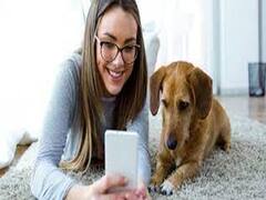 घर में इन पशु-पक्षियों को पालना होता है शुभ, पल में टल जाती हैं आने वाली मुसीबतें