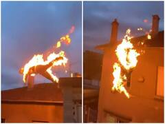 खुद पर आग लगाकर हैरतअंगेज अंदाज में इमारत की छत से कूदा शख्स, वीडियो देख रह जाएंगे दंग