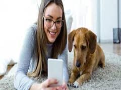 घर में इन पशु-पक्षियों को पालना होता है शुभ, पल में टल जाती हैं आने वाली मुसीबतें