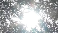 Weather UPDATE: Heatwave attack continues across India; 'no relief' anytime soon