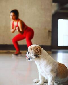 रश्मी देसाईने केलं आईसोबतचं फोटोशूट; पाहा खास फोटो!