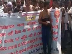 Firozabad: शिकाहोबाद में 8 महीनों से वेतन ना मिलने पर सड़कों पर उतरे सफाई कर्मचारी, हाथों में कटोरा लेकर किया प्रदर्शन