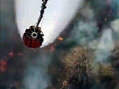 Sariska Tiger Reserve Fire: सरिस्का टाइगर रिजर्व के जंगलों में लगी आग लगभग काबू में, रविवार शाम को हुई थी घटना