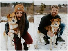 एक भारतीय आवारा कुत्ते को कनाडाई कपल ने लिया गोद, दिल जीत रहा वीडियो