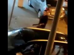 इजरायल में आतंकी हमले में 5 लोगों की मौत, पिछले एक हफ्ते में तीसरी बार आतंकी वारदात से सहमे लोग