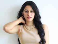 Mrinalini Ravi: గద్దలకొండ గణేష్ బుజ్జమ్మని చూశారా? ఎంతగా మారిపోయిందో