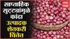 Onion Loss : सुट्ट्यांमुळे लिलाव बंद, वाढत्या तापमानामुळे कांदा खराब होण्याची शक्यता